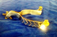 /album/galeria-de-fotos/foto-espora-qm-jpg/